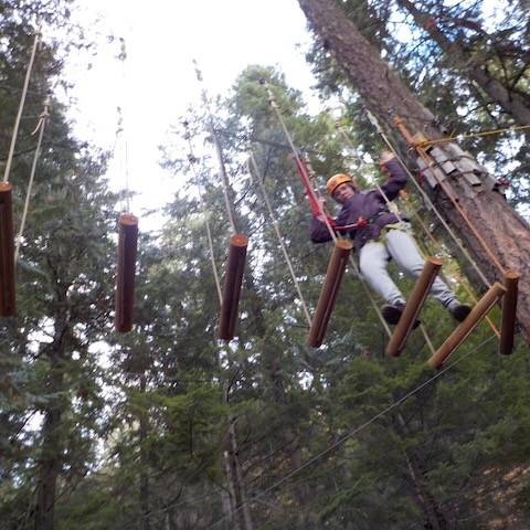 High ropes Strathcona